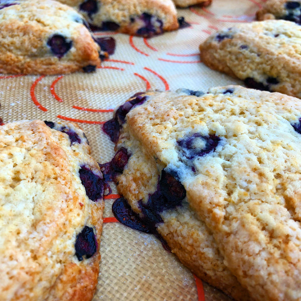 Rum Blueberry Eggnog Scones